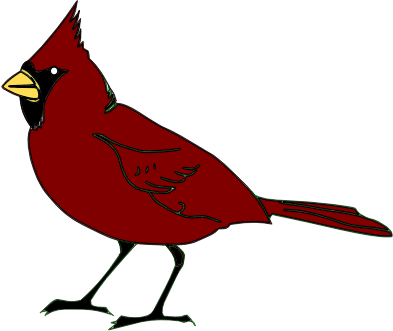 cardinal bird